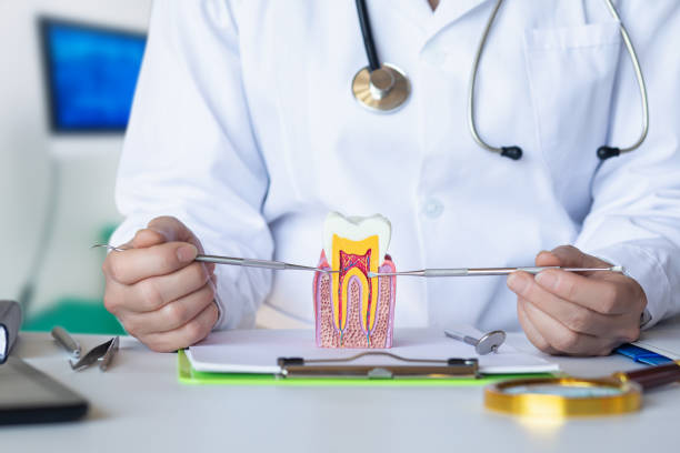 Best Emergency Dental Care for Sports Injuries in Woodhaven, MI